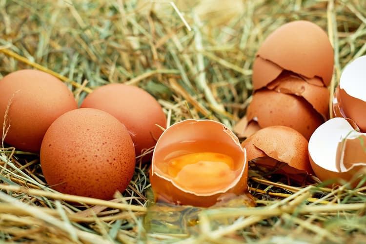 ovos crus e cozidos com informações nutricionais